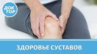 Правда ли, что холодец полезен для суставов