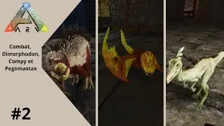ARK EP 2 - Combat, Dimorphodon, Compy et Pegomastax