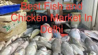 Best Fish Market In Delhi | Raghubir Nagar Fish and Chicken Market #fishmarket