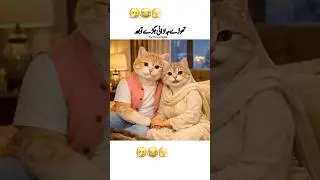Thode je larai jhagare ke bad #funny #funnyvideos #shorts #cat #cartoon