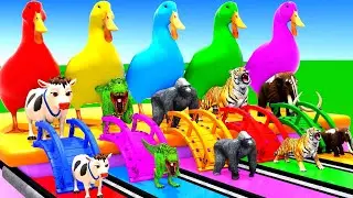 Long Slide Game With Elephant Gorilla Buffalo Hippopotamus Tiger 3d Animal Game Funny 3d Animals