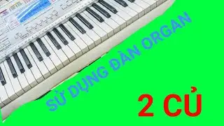 XTORGAN #2: C&Aacute;CH SỬ DỤNG C&Acirc;Y Đ&Agrave;N ORGAN GI&Aacute; RẺ |CASIO #LK58 #LK207 #LK203