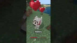 Minecraft Wolf Tips