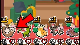 Level 3 Sloth Ribbon In The New Puppy Pack! (Super Auto Pets)