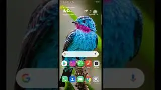 Colourful update what's app