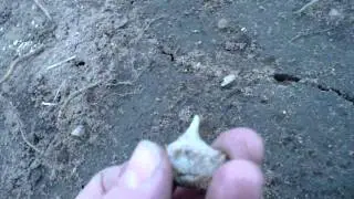 White Drill Point.MOV