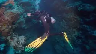 Canyon in Thomas Reef, Tiran, Egypt, Red Sea.