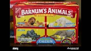Barnum's Circus Animals Escape! #foryou #animals #ai #animalrightsmovement #circusmagic #wildtrain