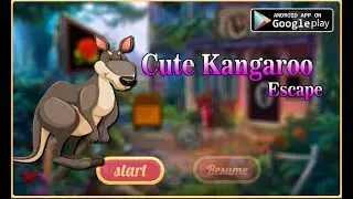 Avm Cute Kangaroo Escape Walkthrough [AvmGames]
