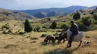 Spring Shepherding in Iran&rsquo;s Stunning Hills