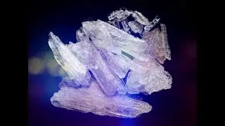 Members Of Meth Distribution Ring Sentenced In Federal Court