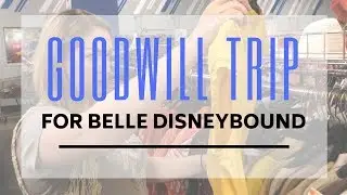 GOODWILL TRIP - Disneybounding 101