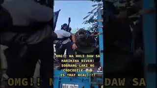 OMG NA HULI DAW SA MARIKINA RIVER! SOBRANG LAKING CROCODILE. IS THAT REAL?