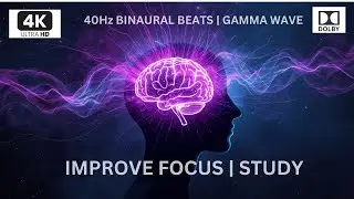 40Hz Gamma Brainwave Music | Binaural Beats for Deep Work | Enhance Mental Clarity & Productivity