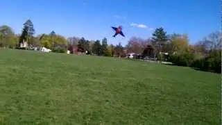 Kite Flying in Allmendinger Park (04.08.12)