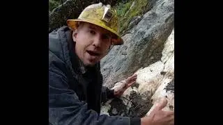 How Do Gold Veins Form?