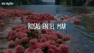 Rosas En El Mar • Massiel [Letra]