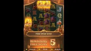 Wild Bounty Showdown Under PG Soft Big Win!🤑💲💸