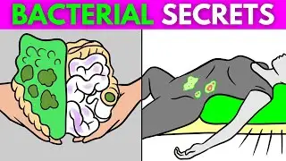 Uncovering the Secrets of Bacteria Risks and Prevention