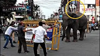 ആനയെ വച്ച് ആളുകളെ വിരട്ടി പൈസ പിരിക്കുന്ന പാപ്പാൻ | mahout uses elephant to get money