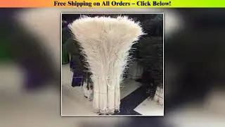100pcs/lot White Peacock Feathers for Crafts 70-80 Cm/28-32 Inch Decorative Celebration Clothing