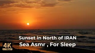 Beach Perfection ASMR : 1 Hours of Sunset & Relaxing Wave Sounds (4K Video)