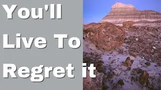 The Curse of Escalante Petrified Forest