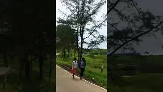 සීතල අඹේවෙල🥶😘#srilanka #travel #cool #fyp #nature #shortsviral #love #travelapi#newzealandfarm