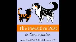 The benefits of tricks training for dogs and cats with Erica Beckwith