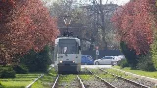 Tramvaie la terminalul Cartier Damaroaia