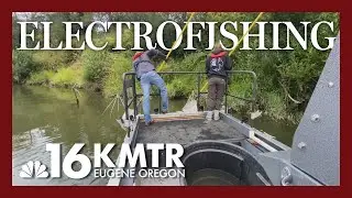 Coquille Electrofishing: Tribe Aims to Protect Local Salmon