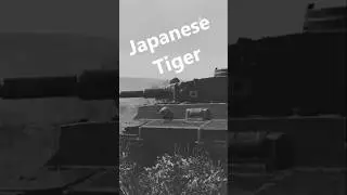 A Tiger for Tokyo: The Bizarre Story #history #ww2 #military #tank #army #documentary #education