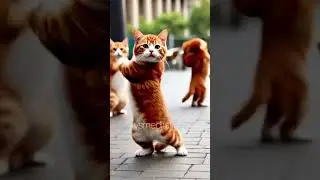 This Cat's Dance Will Make You LOL! 💃&hearts;️ #FunnyCat #CatDanceChallenge #Shorts