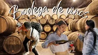 Visita a BODEGA de VINOS Porto 🍷🍇| Maik y Cami