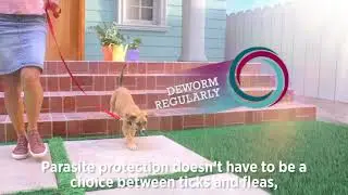 Veterinary Pharmaceutical Video Voice-Over