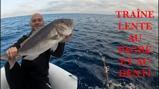 PECHE AU VIF