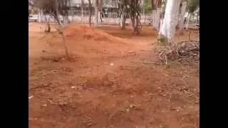 Hyderabad park at sr nagar