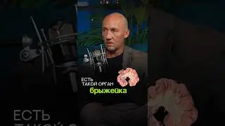 #кишечник #здоровыйкишечник #иммунитет #здоровьекишечника #здоровье #доктор #врач #удивительныефакты
