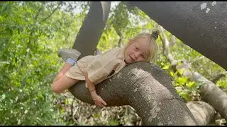 PRACHTIGE NATUUR in KIRSTENBOSCH | Bellinga Short #1552