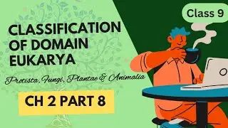 Classification of Domain Eukarya | New Syllabus| Biology Class 9