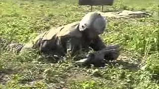 Копия РАЗВЕДКА