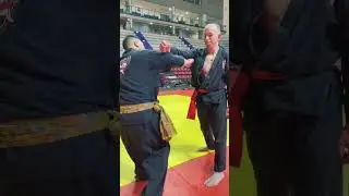UNE D&Eacute;FENSE PUR SILAT #penchaksilat #selfdefense #artmartial #sport #autod&eacute;fense #coach