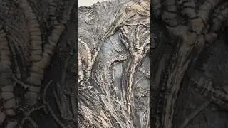 I can&rsquo;t believe this fossil surprise, a true natural wonder!🤔#shorts#crinoid