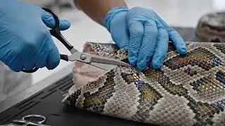 Full Process: Inside Secret Factory &ndash; Crafting $M Snake Leather Bags with | Industrial Automation