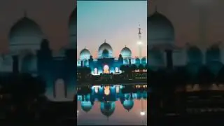 MOST BEAUTIFUL RELIGION IN THE WORLD ❤️ #MUSLIM_REVERTS_STORIES. #islam #shorts