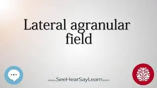 Lateral agranular field   Anatomy of the Brain   SeeHearSayLearn 🔊