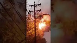 Lightning strikes down trees#weather #lightning #trees #extremeweather #oddlysatisfying