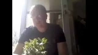 Bonsai Blog adventure part 1