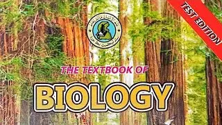Class 11 Biology Chapter 12: Hypertension & Circulatory System | Sindh Textbook Guide
