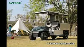48v 5kw Battery Powered Solid Wheel  Electric Golf Hunting Cart#buggy #electricvehicle #shorts #bus